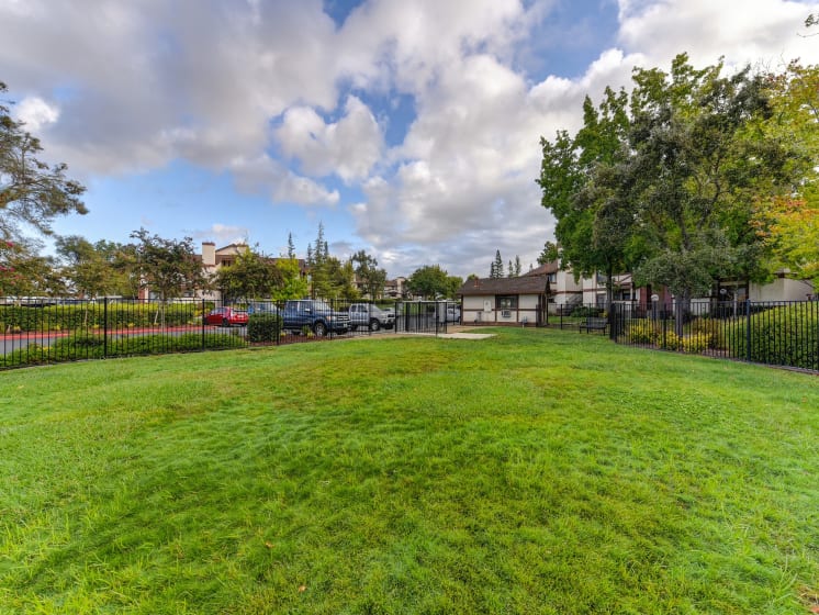 Dog Park with Grass and Trees